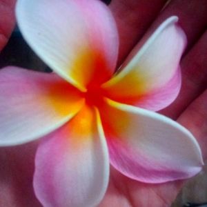 Meet your Posher, Kathryn